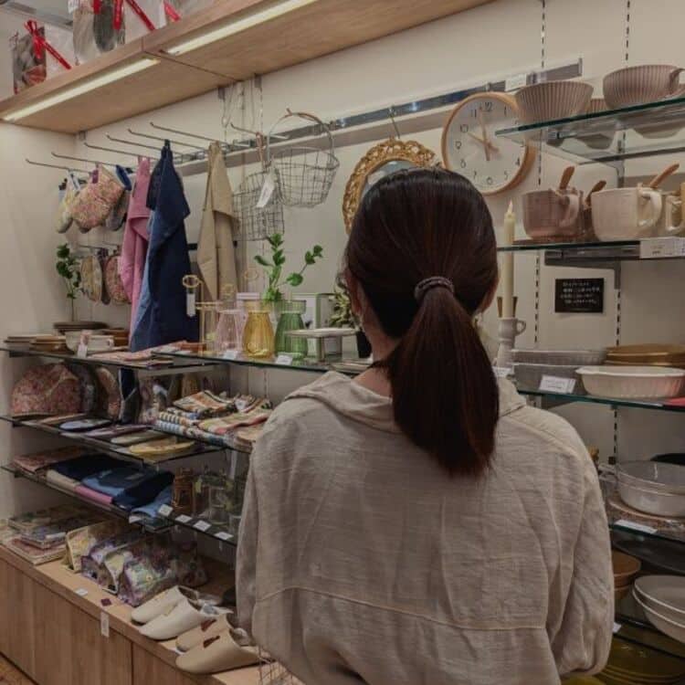sugi